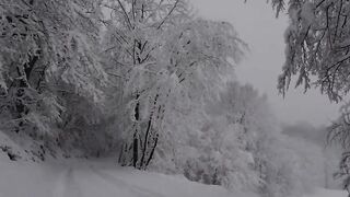 Anything goes wrong at work